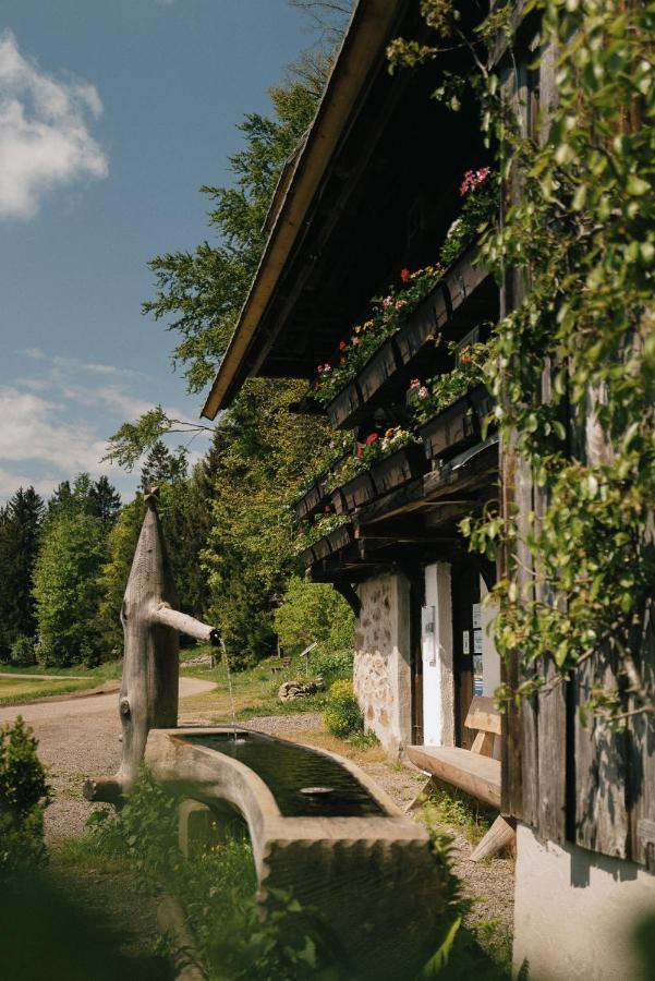 Der Hirschen Hotel Sankt Märgen Exterior foto